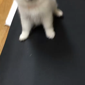 今日のそらの画像