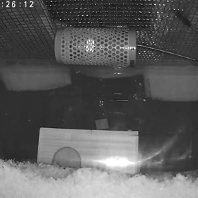 昨夜の英彦さん。の画像