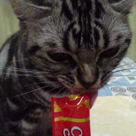 大好きなおやつ(*´ω｀*)の画像