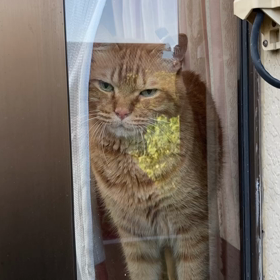 2023/07/29 今週のハナの画像