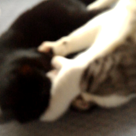 毎日を大事にの画像