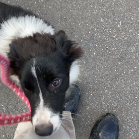 トレーニング4日目の画像