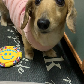 楽しいひとときの画像