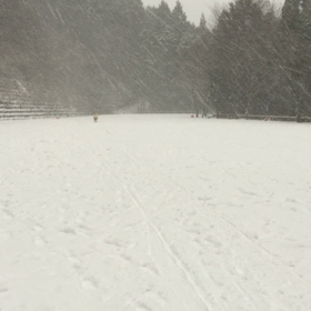 雪の上をルンルンルンの画像