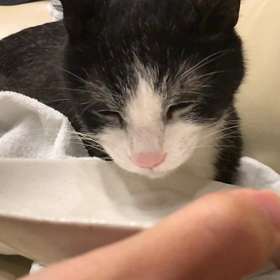 スローモーション ペロペロ❤️の画像