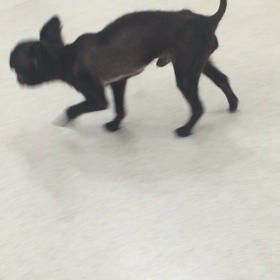 ♪プレイルーム動画♪の画像