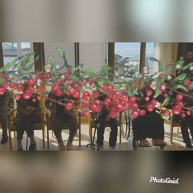 日向ぼっこの画像