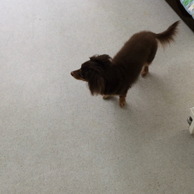 ♪プレイルーム動画♪①の画像