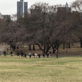 芝生坂ダッシュ(Bグループ)⑫の画像