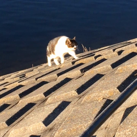 雑所得扱いの課税計算方法の画像