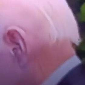 耳の穴　NCSVVIC/40596の画像