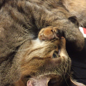 萌愛の日課の画像