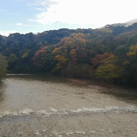 お伊勢さんへ、また③の画像