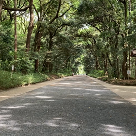 明治神宮 散歩 (4/4)の画像
