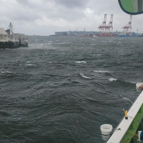 ◎7/8(水)釣果情報と明日の画像