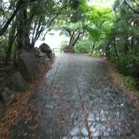 今 確認したらの画像