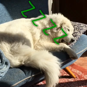 静かな午後のひととき( ^ω^ )の画像