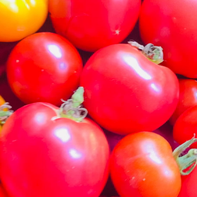 介護記録１０６（ごめんね）の画像