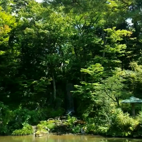 夏の音の画像