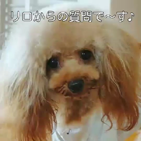 質問ですの画像