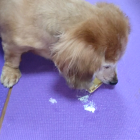 ケーキその4の画像