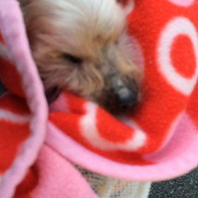 点滴5日目の画像