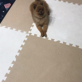 カッコイイ〜輝♪坊と謎の輝♪坊の画像