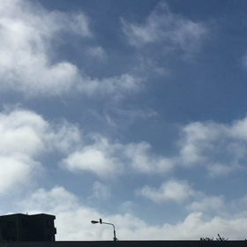 強風で(;_;)の画像