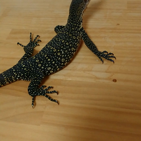 一年で絶対メートル越えるな笑笑❗の画像