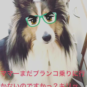 男前との休日の画像