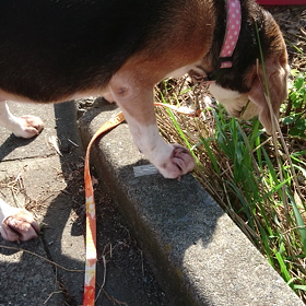 朝はサラダバーからの画像