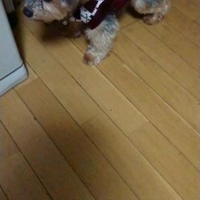 今日は、冷蔵庫❗の画像