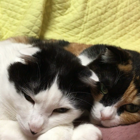 静止画みたいな動画パート３の画像