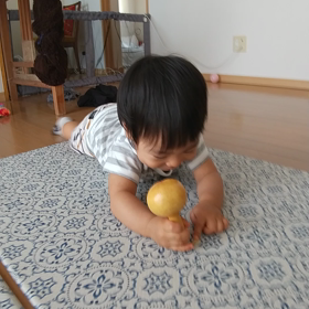 お留守番。の画像