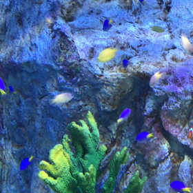 小樽水族館ムービーの画像