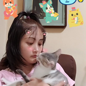 Tektokkuで再生中の画像