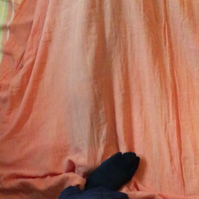 毎日ふみふみふみふみの画像