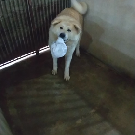 ネタが無い日の為に。撮っておきました(笑)の画像