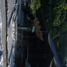 今朝は天の計らいの画像