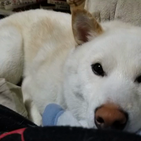 反抗期のくせに甘えにくる赤ちゃんなとき（*'∀'人）♥*+（*'∀'人）♥*+の画像