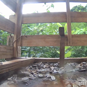 すぎぴたんの事件簿シーズン3　358話（レストランひまわりのお掃除）の画像