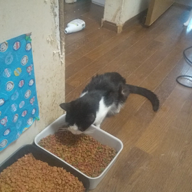 ドライ食べた♡の画像