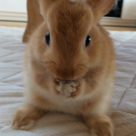 (ﾟ∀ﾟ)ﾉｷｭﾝｷｭﾝ!の画像