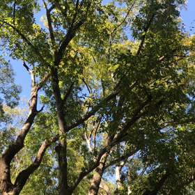 ”あなたが国の代表だった  ら。”の画像