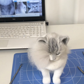 やっぱりカットが一番楽しい♪の画像