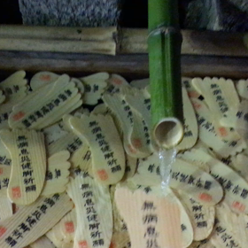 みたらし祭りの画像