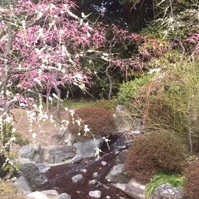 削除する前に、良かったら見てね。の画像