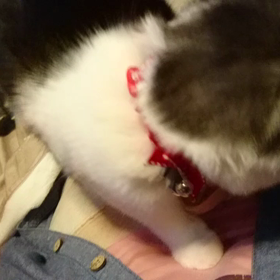 琥珀くんの成長❗の画像