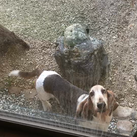 入院しましたの画像