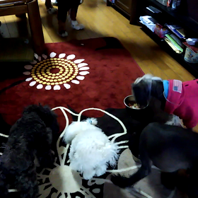 大きいのに偉いね。の画像